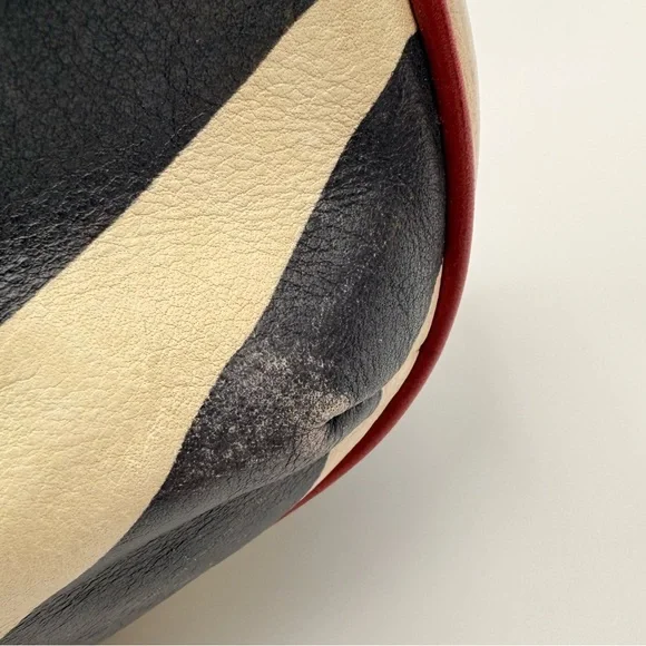 Rare Vintage Dooney & Bourke Zebra Red Trim Distressed Leather Safari Satchel - Picture 13 of 13